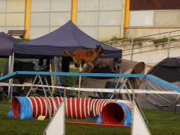 Les Concours
