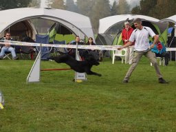 Les Concours
