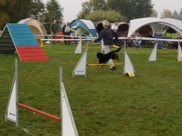 Les Concours