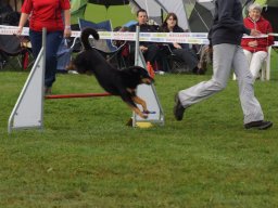 Les Concours