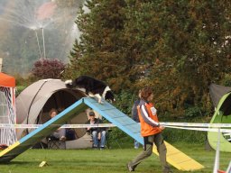 Les Concours