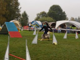 Les Concours