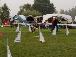 Les Concours
