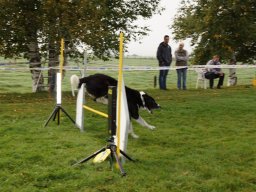 Les Concours