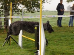 Les Concours