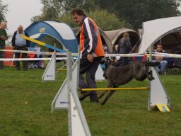 Les Concours