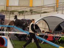 Les Concours