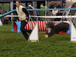 Les Concours
