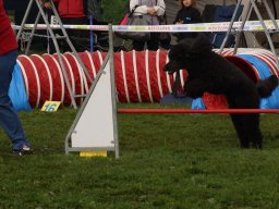 Les Concours