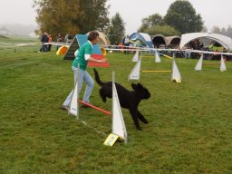 Les Concours