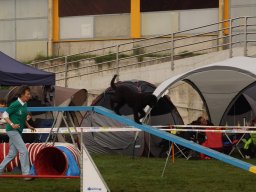 Les Concours