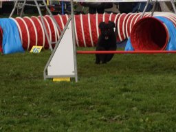 Les Concours