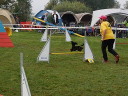 Les Concours