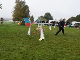 Les Concours