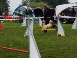 Les Concours