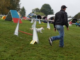Les Concours
