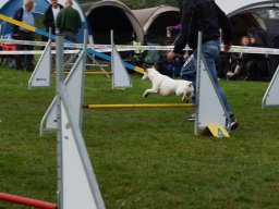 Les Concours