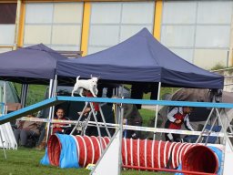 Les Concours