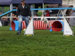 Les Concours