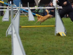 Les Concours
