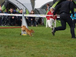 Les Concours