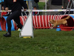 Les Concours
