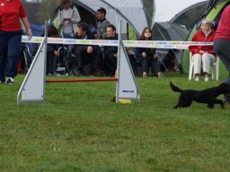 Les Concours