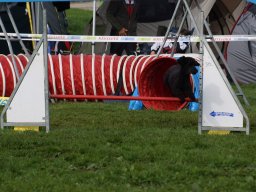 Les Concours