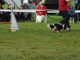 Les Concours
