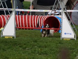 Les Concours