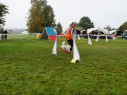 Les Concours