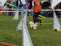 Les Concours