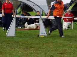 Les Concours