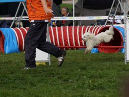 Les Concours