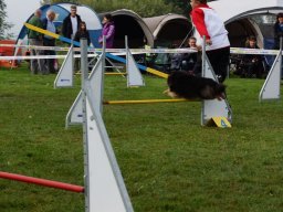 Les Concours