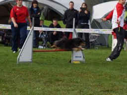 Les Concours