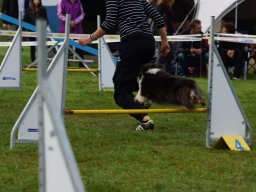Les Concours