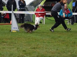 Les Concours