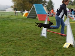 Les Concours