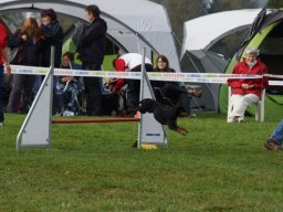 Les Concours