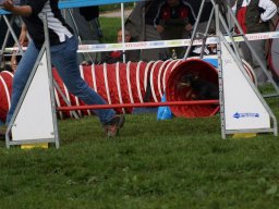 Les Concours