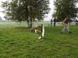 Les Concours