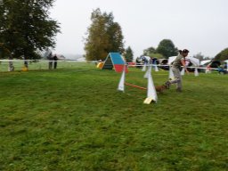 Les Concours