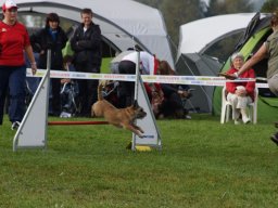 Les Concours
