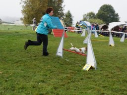 Les Concours