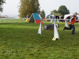 Les Concours