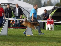 Les Concours