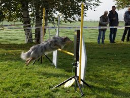 Les Concours