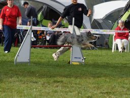 Les Concours