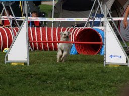 Les Concours